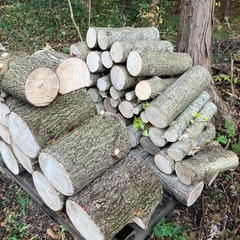 丸太　薪　杉木、サクラ、紅葉、コナラみたいの木他　大量　配達可能の画像