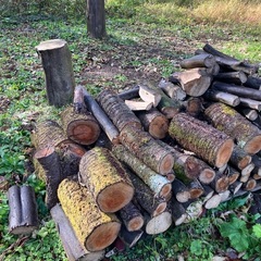 丸太　薪　杉木、サクラ、紅葉、コナラみたいの木他　大量　配達可能の画像