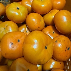 ③甘い柿【硬め】1袋10入り600円の画像