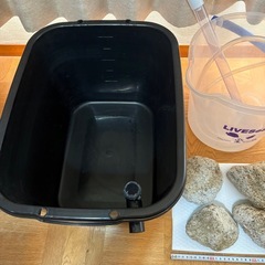 メダカ　タライ　49×37×29 約35L ゴロタ石　バケツ他　メダカ水槽の画像