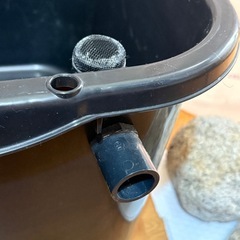 メダカ　タライ　49×37×29 約35L ゴロタ石　バケツ他　メダカ水槽の画像