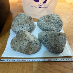 メダカ　タライ　49×37×29 約35L ゴロタ石　バケツ他　メダカ水槽の画像