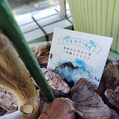 グリーンレモン植木の画像