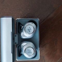 最終値下げ!! AVIOT TE-D01d mk2 シルバー イヤホン本体 充電ケースのみの画像