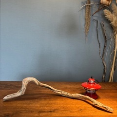 2.乱れた捻り〜流木…天然物、インテリア、オブジェの画像