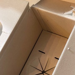 11月末まで！ドリームスイッチの画像