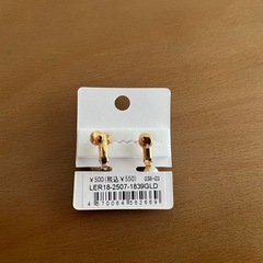 【LUNA  EARTH】イヤリングの画像