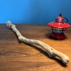 2.ボコボコが可愛い流木…天然物、インテリア、オブジェの画像