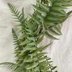 フェイクグリーン　２個セットの画像