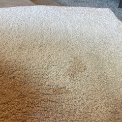 無料　ホワイト　ラグ　汚れあり
の画像
