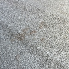 無料　ホワイト　ラグ　汚れあり
の画像