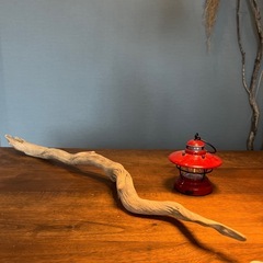 2.ネジネジネジ〜り流木…天然物、インテリア、オブジェの画像