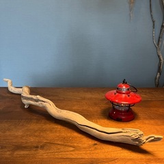 2.ネジネジネジ〜り流木…天然物、インテリア、オブジェの画像