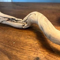 2.ネジネジネジ〜り流木…天然物、インテリア、オブジェの画像