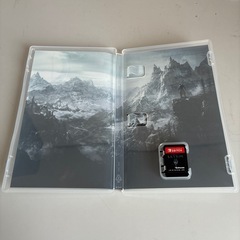 switchソフト　スカイリムの画像