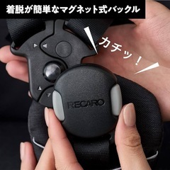 ベビーカー RECARO 両体面の画像