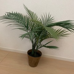 フェイクグリーンの画像