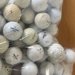 ゴルフボール　ロストの画像
