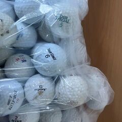 ゴルフボール　ロストの画像