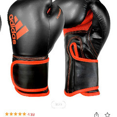 スパーリング相手