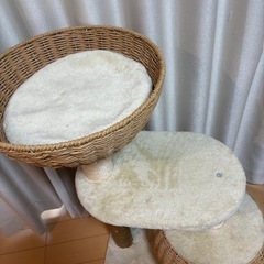 (受付停止中)キャットタワー　あげます(引き取り限定)の画像