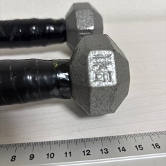 鉄アレイ　１KG ２本の画像