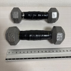 鉄アレイ　１KG ２本の画像