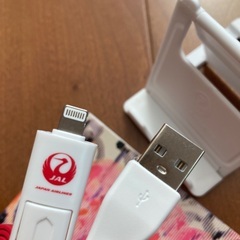 JAL トラベルポーチセット　旅行　防災　正方形タイプの画像