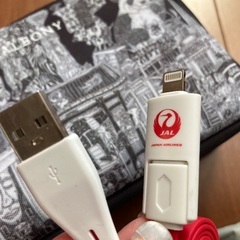 JAL トラベルポーチセット　旅行　防災　長方形タイプの画像