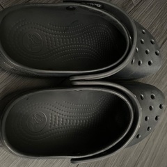 🐊crocs🐊の画像