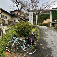 【ビアンキ Bianchi IMPULSO 50サイズ】ティアグラ搭載 ロードバイク（ライト・ロック付き）の画像