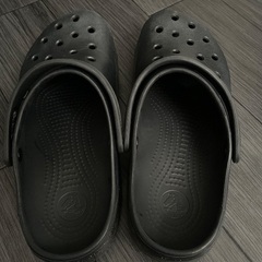 🐊crocs🐊の画像