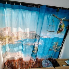 西海岸🏖️Hawaii【まとめ売り】の画像