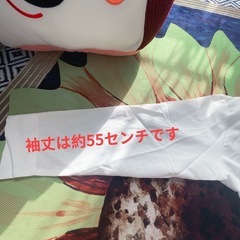 おしゃれ可愛い温かいボウタイブラウスの画像