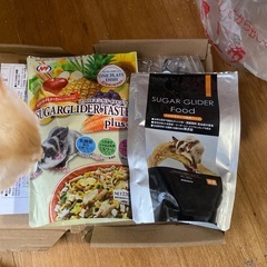 破格‼️モモンガケージの画像