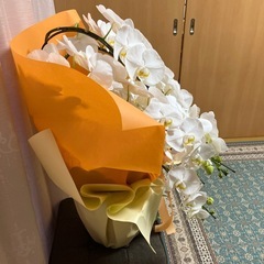 生花の胡蝶蘭の画像