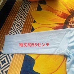 セクシー、おしゃれ、可愛い、そして温かいボウタイブラウスです。の画像