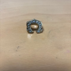 テンダーロイン風指輪の画像