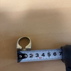 テンダーロイン風指輪の画像