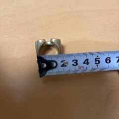 テンダーロイン風指輪の画像