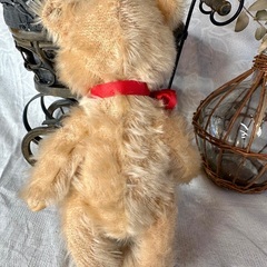 シュタイフ 80年代 マスクベアの画像