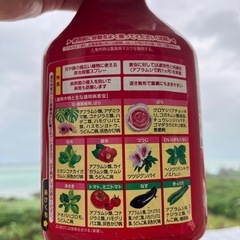 植物の薬剤の画像