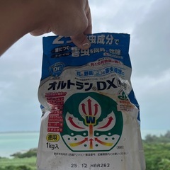 植物の薬剤の画像