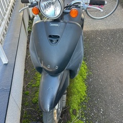 原付バイクホンダトゥデイの画像