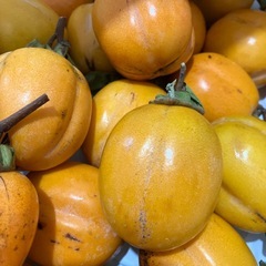 値下げ＊渋柿　45個程の画像
