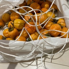 値下げ＊渋柿　45個程の画像