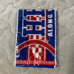 FC琉球グッズの画像