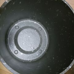 ハーブ寄せ植えセット　レースラベンダー　ローズマリー　エコポット5号の画像