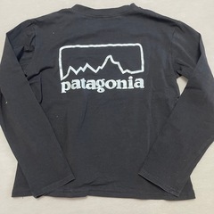 130 patagonia  ロンTの画像