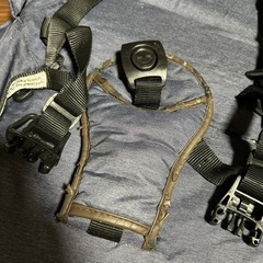 エアバギー　キャノピーとシートのみのみの画像